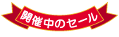 �Z�[���J�Ò���