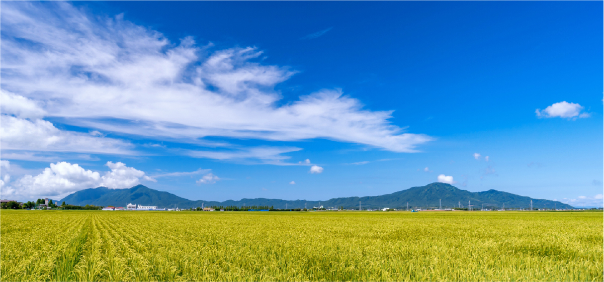 ここ新潟から、開発と製造が一丸となって発信し続ける。