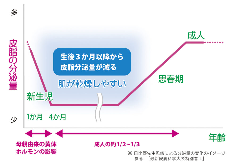 生まれてから成人するまでの皮膚の分泌量