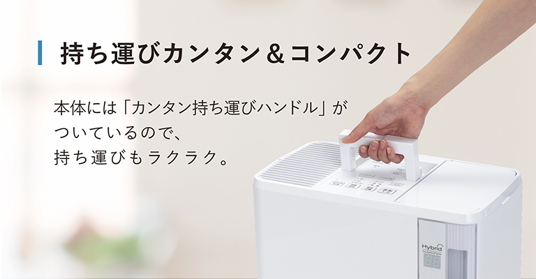 2022年発売 ハイブリッド式 加湿器 Dainichi Plus ダイニチ