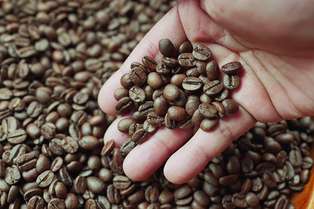 カフェプロは焙煎にこだわる | コーヒー機器 | 製品情報 | ダイニチ